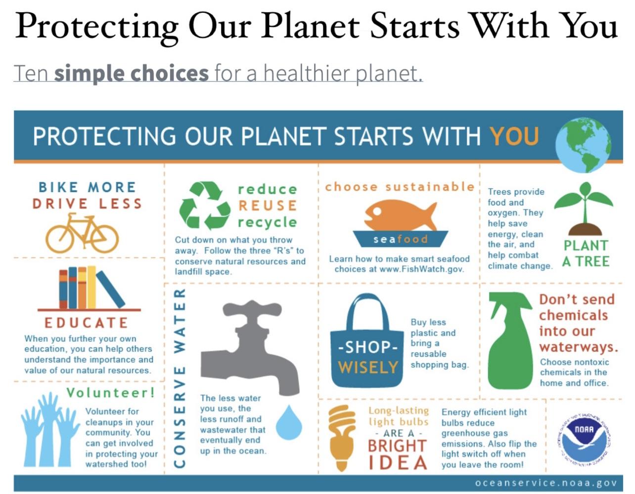 10 Simple Choices For A Healthier Planet
